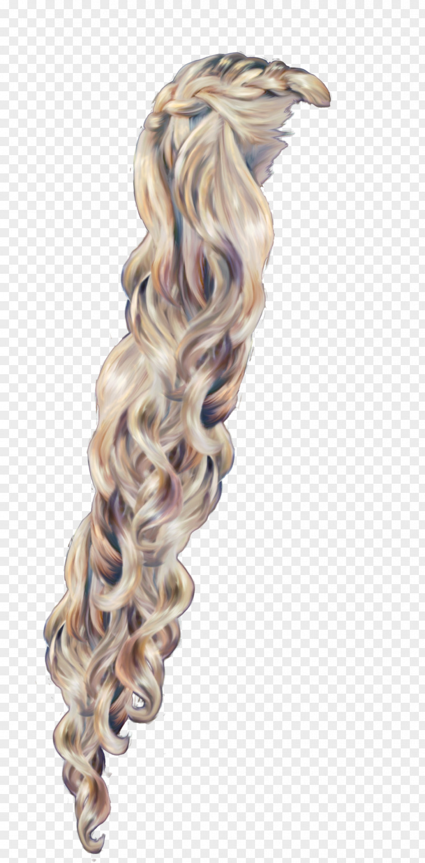 Hair Wig Rapunzel Braid PNG