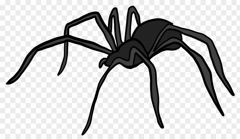 Spider Widow Spiders Pest Control Orkin Wolf PNG