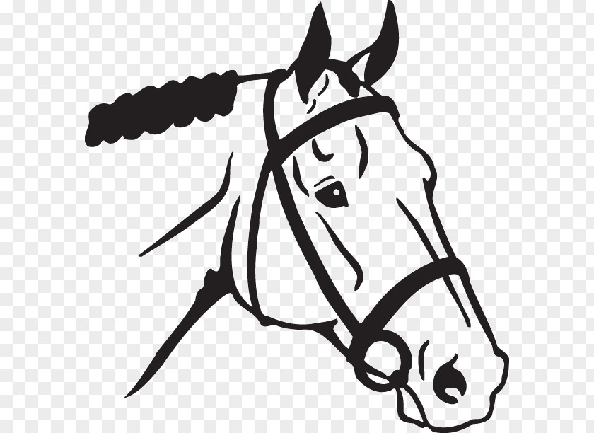 American Quarter Horse Arabian Head Mask Clip Art PNG