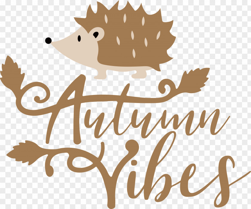 Autumn Vibes Autumn Fall PNG