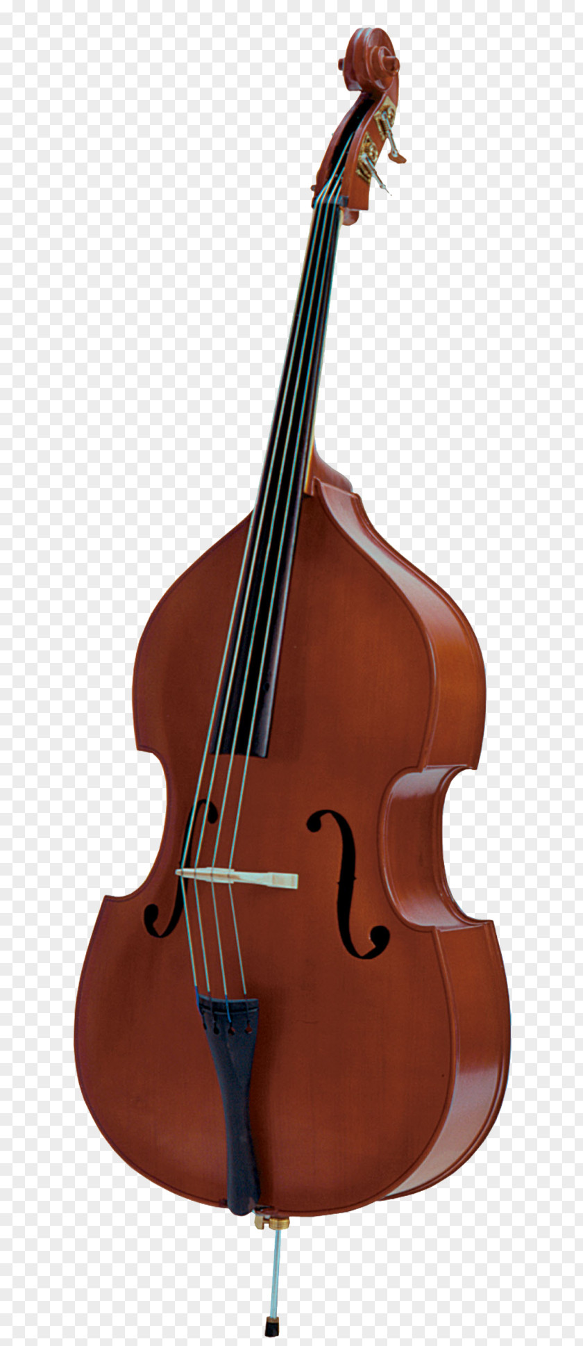 Bass Guitar Double String Instruments Electric Upright Musical PNG