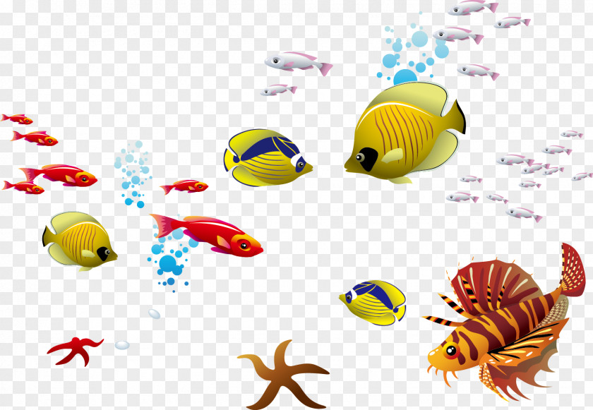 Fish Seabed Ocean Seawater PNG