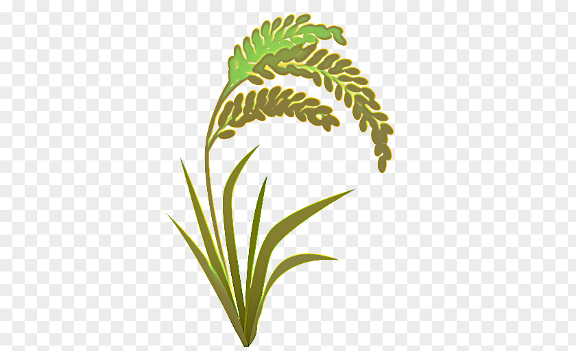 Houseplant Flower Green Grass Background PNG