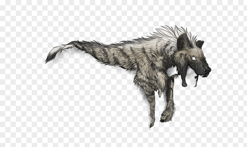 Hyena Dog Canidae Wildlife Fauna Carnivora PNG