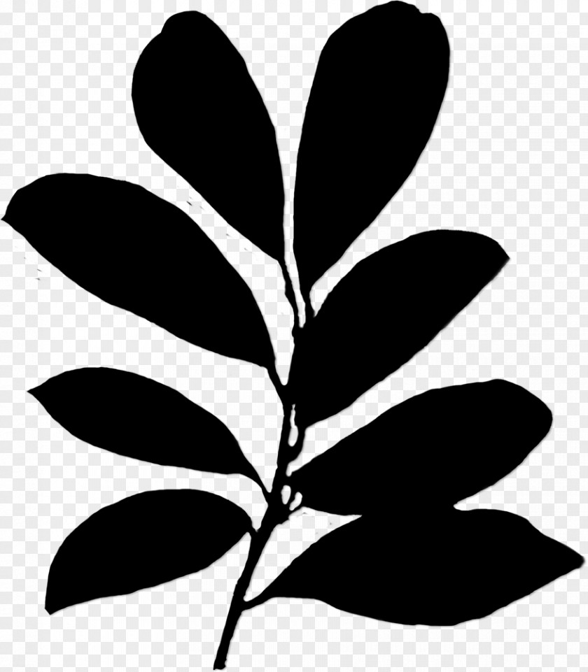 Plant Stem Leaf Flower Clip Art Silhouette PNG