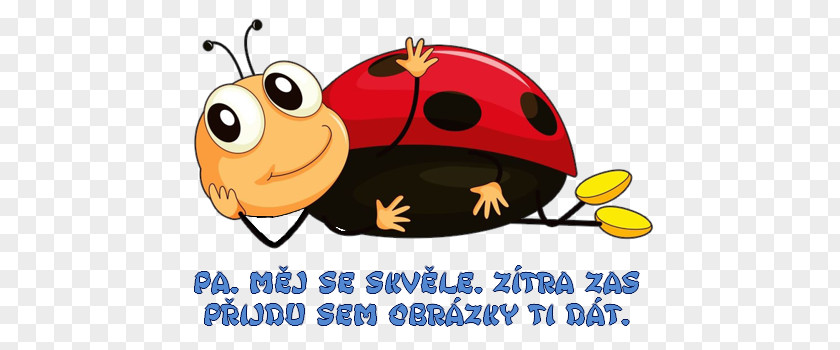 Smile Ladybug Ant Cartoon PNG