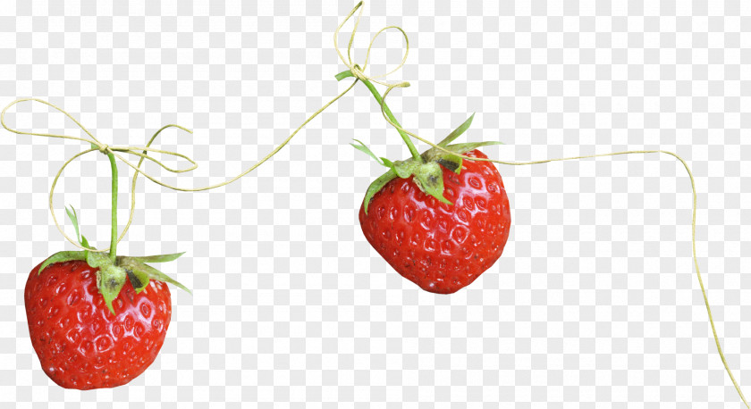 Strawberry Rope Fruit Auglis PNG