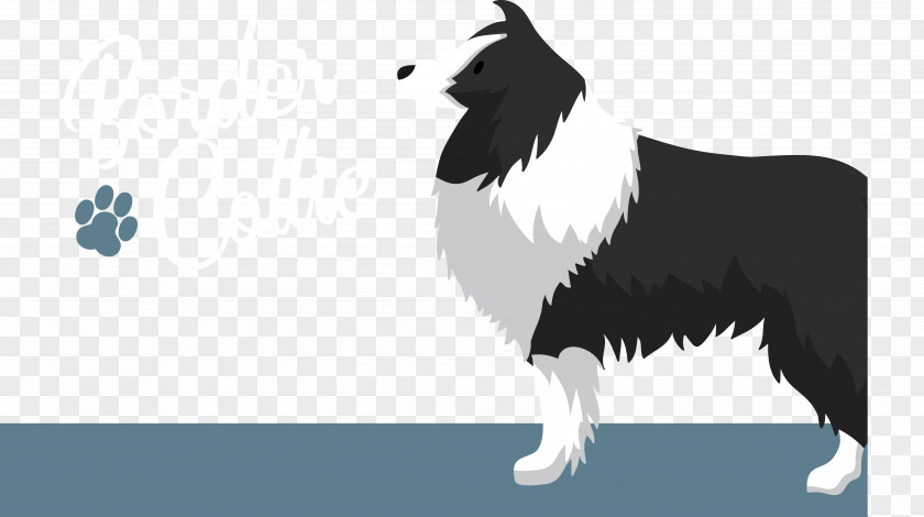 Animal Pet Dog Cute Domestic Animation Border Collie Breed PNG