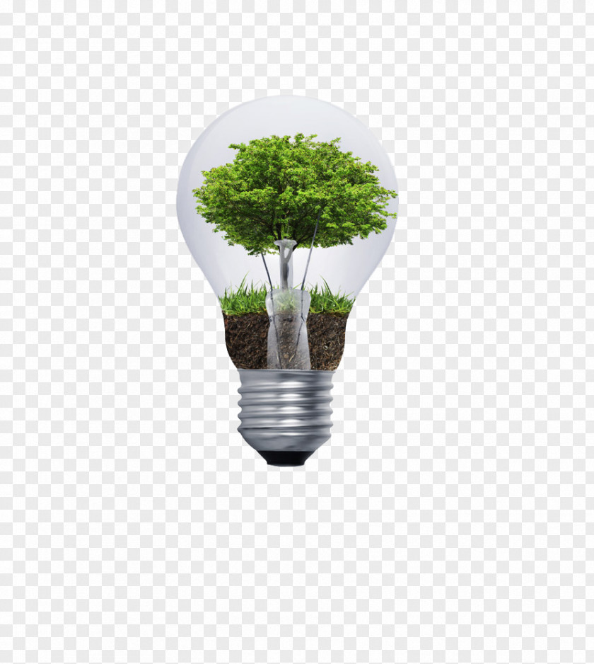 Bulb Tree Design Incandescent Light PNG