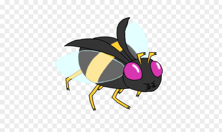 Buzz Beetle Pollinator Animal Clip Art PNG