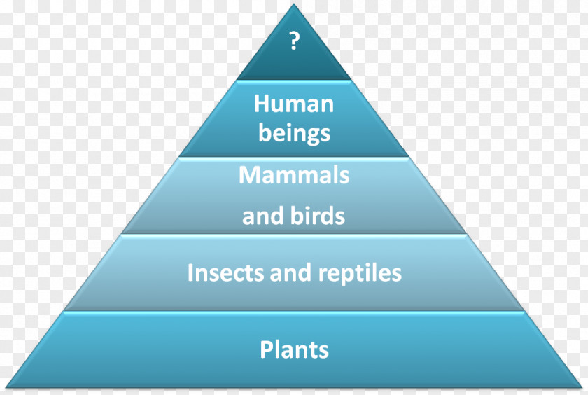 Food Chain Maslow's Hierarchy Of Needs Psychology Society PNG