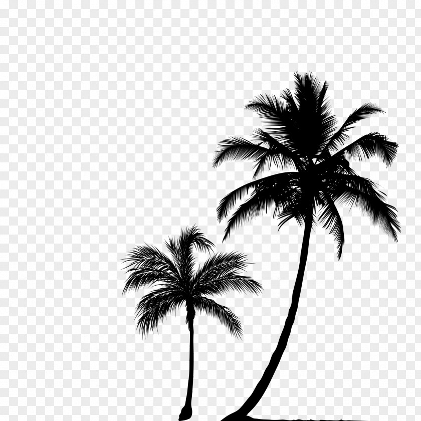 Forest Arecaceae Tree Silhouette Clip Art PNG