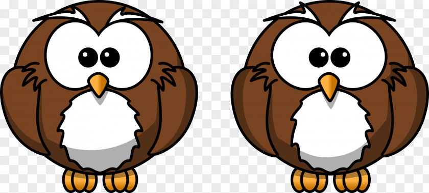 Owls Owl Cartoon Drawing Clip Art PNG
