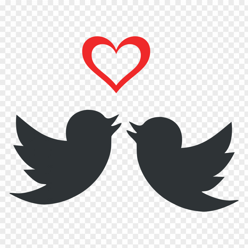Valentines Vector Fischer's Lovebird Heart Clip Art PNG