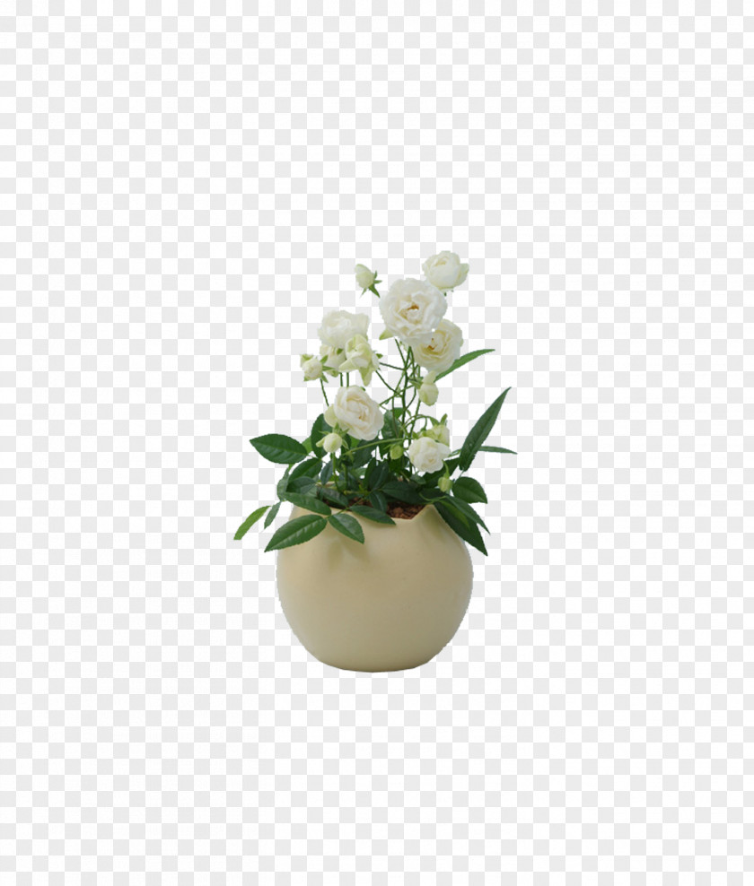 Vase Cut Flowers Decorative Arts PNG