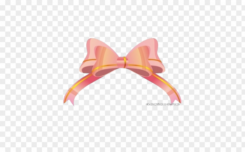 Bow Shoelace Knot Tie Butterfly Ribbon PNG