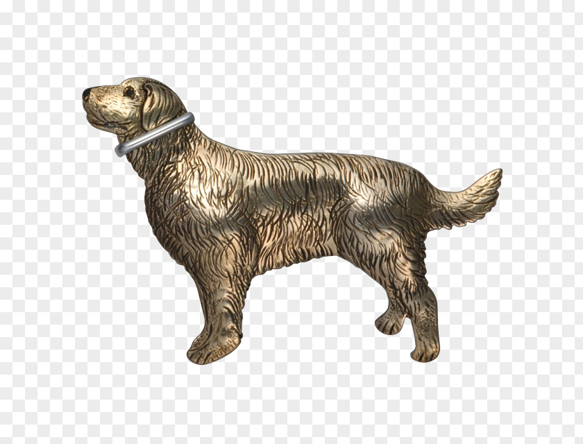 Dog Breed Retriever Sporting Group Spaniel Companion PNG