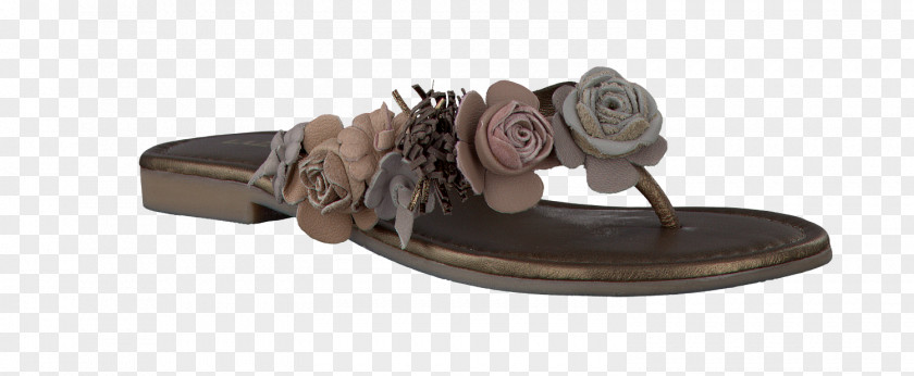 Flip Flops For Women Flip-flops Shoe Boot Leather Sandal PNG