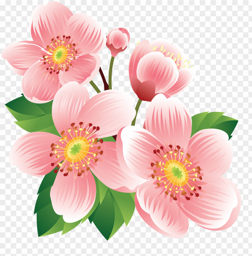 Flower Royalty-free Stock Photography Clip Art PNG