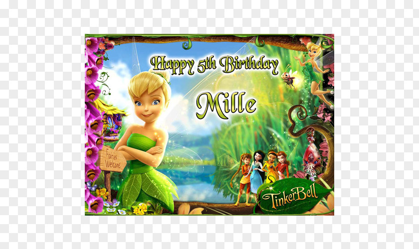 Peter Pan Tinker Bell Disney Fairies Desktop Wallpaper PNG