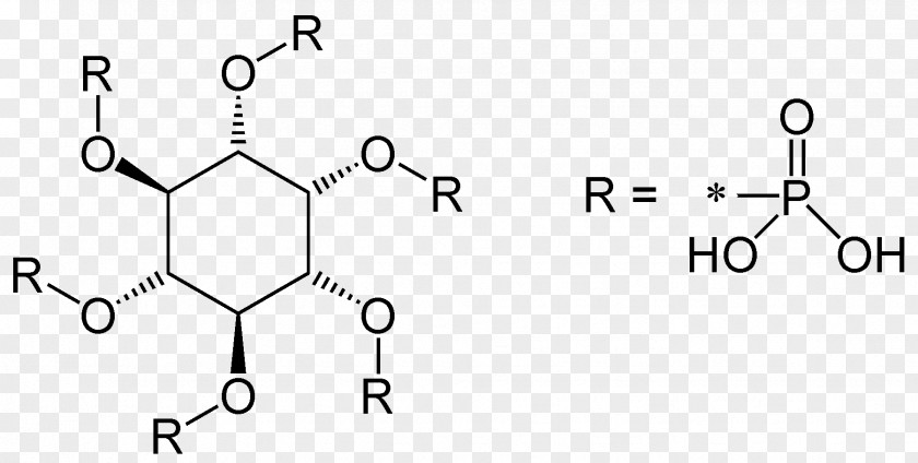 Phytic Acid Food Inositol Calcium PNG