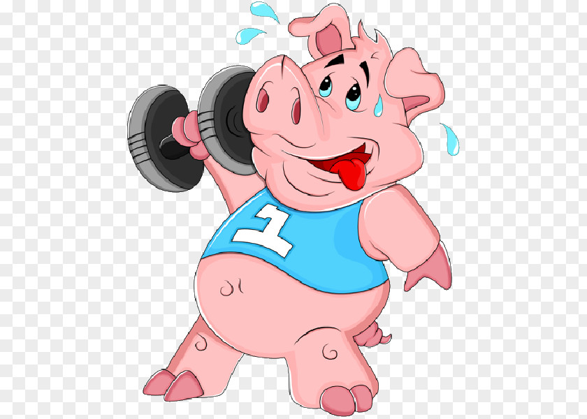 Pig Drawing Clip Art PNG