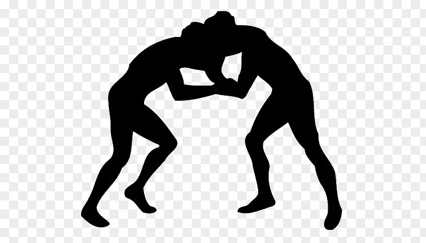 Wrestling Professional Clip Art PNG