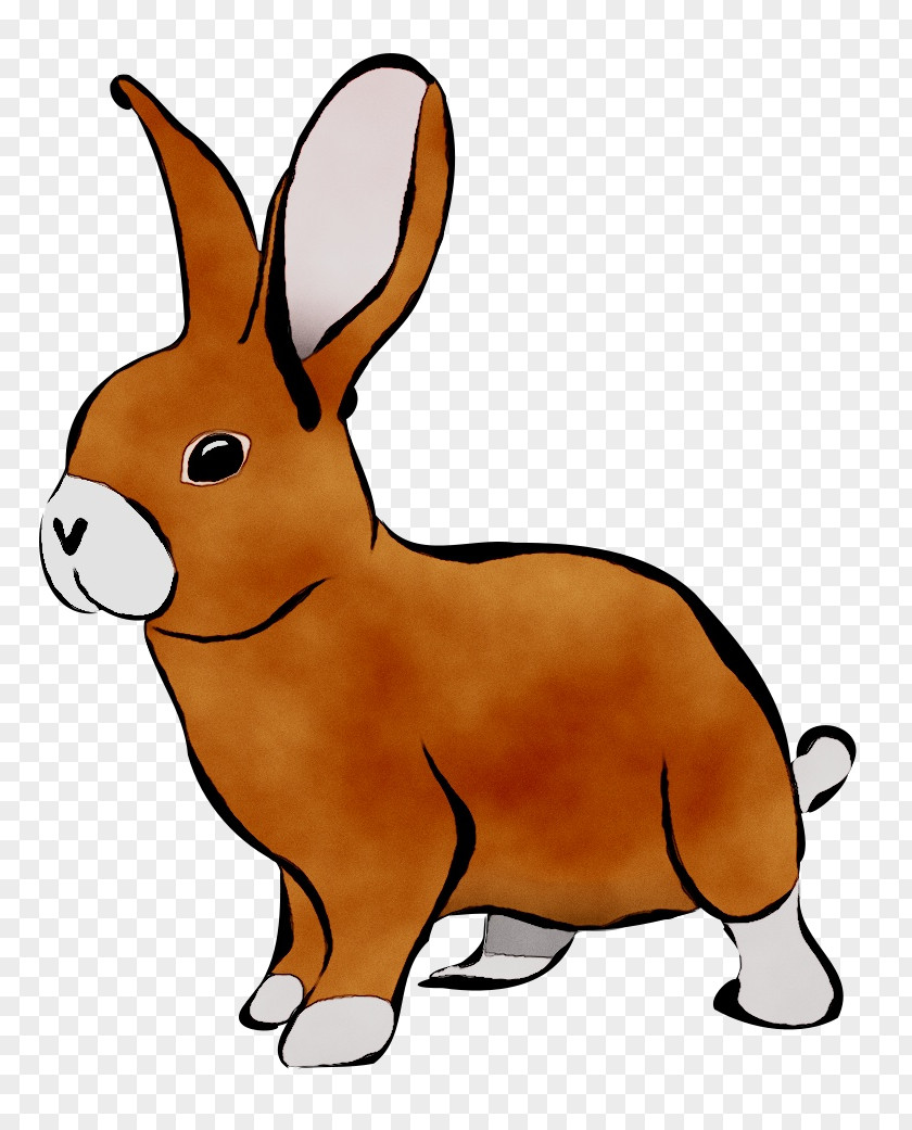 Clip Art Rabbit Free Content Image Easter Bunny PNG