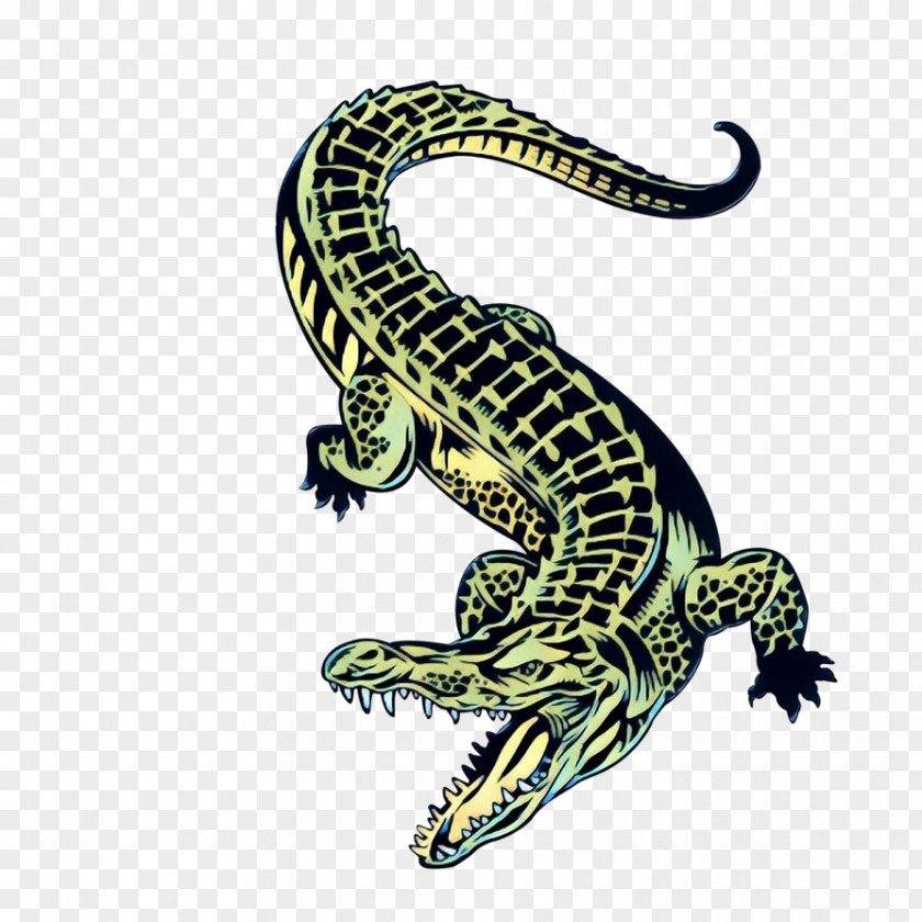 Gecko Salamander Reptile Lizard Terrestrial Animal Scaled Figure PNG