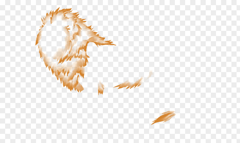 Gold Lion Desktop Wallpaper Computer Grasses Sky Plc PNG