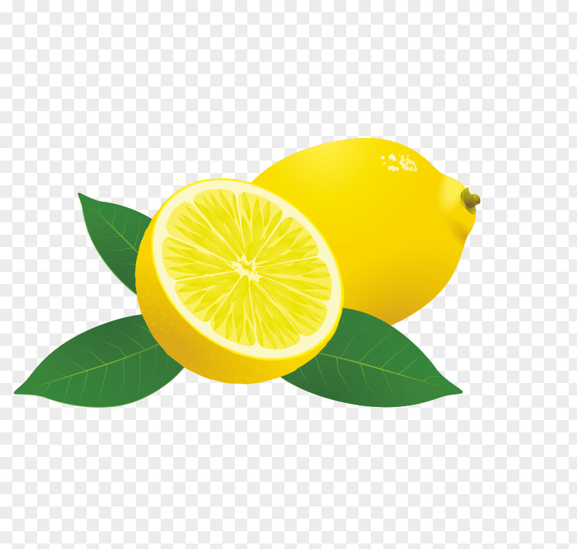 Lemon Cartoon Sweet Persian Lime Lemon-lime Drink PNG
