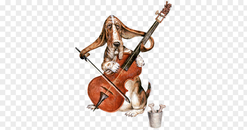 Violin Violone Double Bass Viola Cello PNG