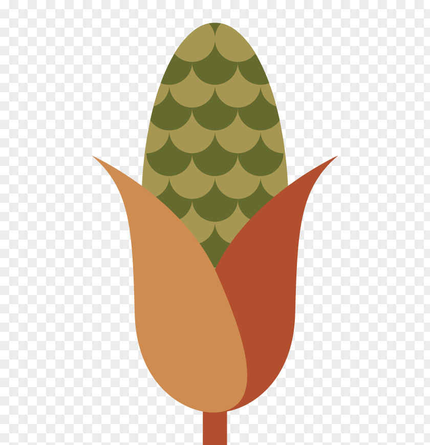 Corn Image Download Google Images Maize PNG
