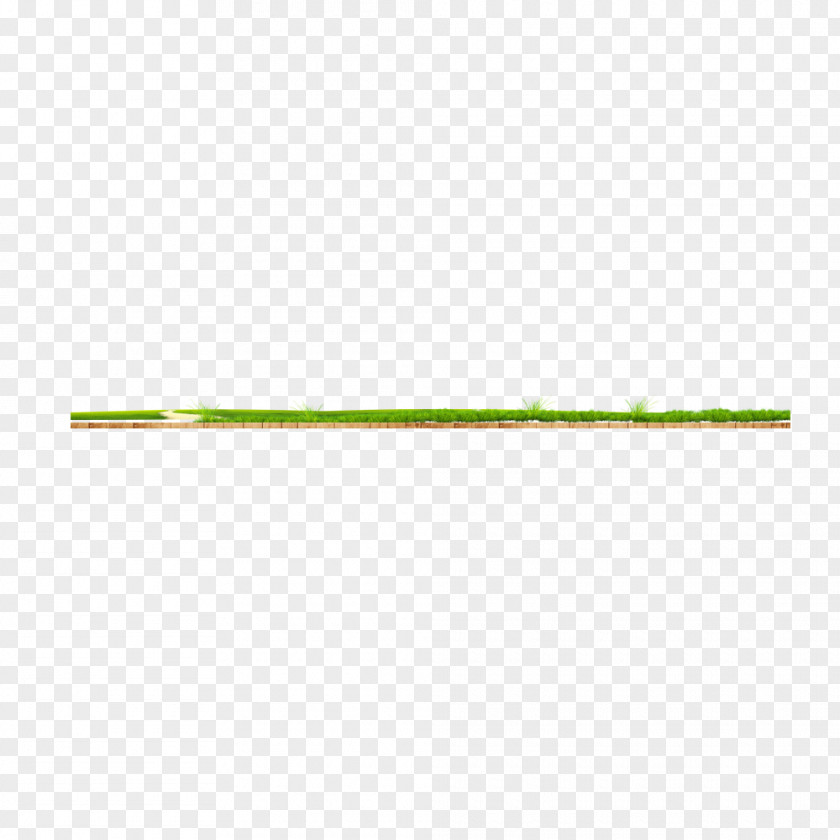 Green Grass On Wood Plant Angle PNG