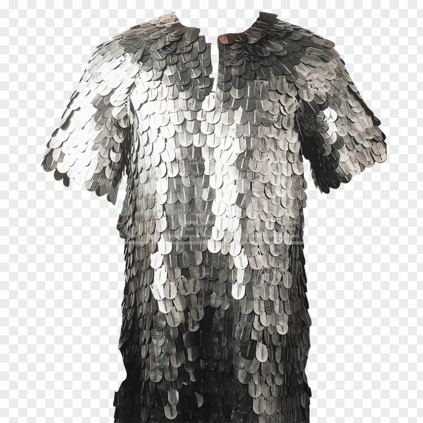Scale Armour Mail Hauberk Knight PNG