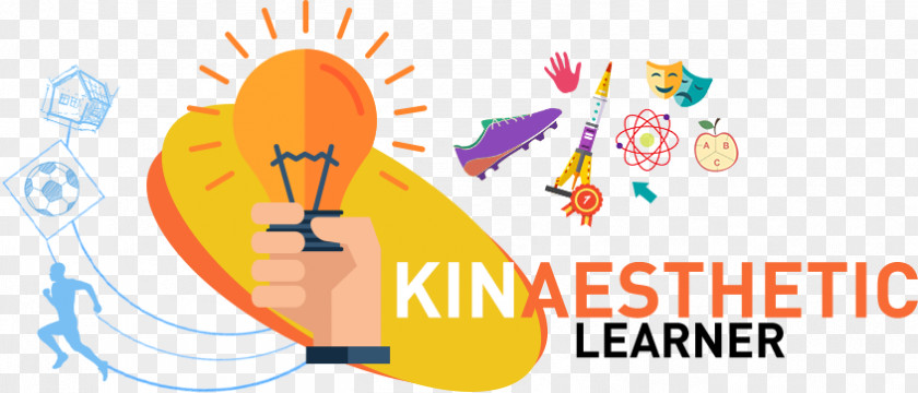Student Visual Learning Styles Kinesthetic Auditory PNG