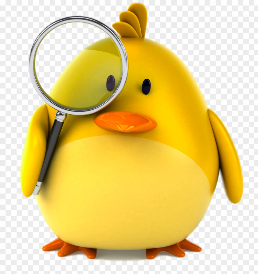 Take A Magnifying Glass Cartoon Chick PNG