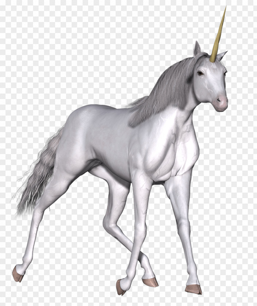 Unicorn Fairy Tale Horse Clip Art PNG