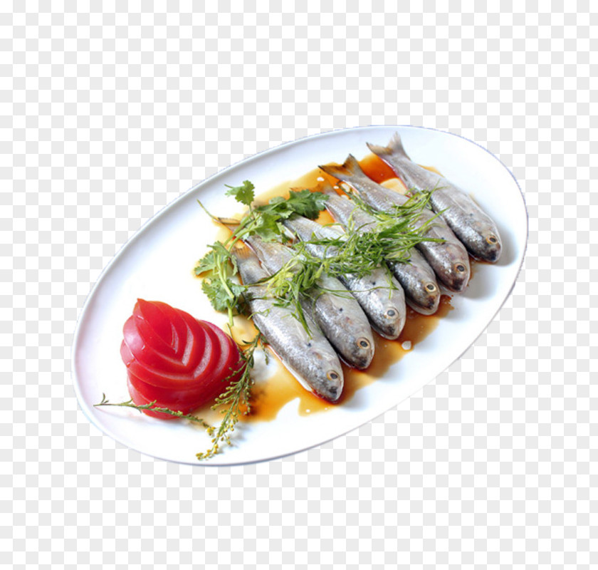 Fish Pictures Seafood PNG