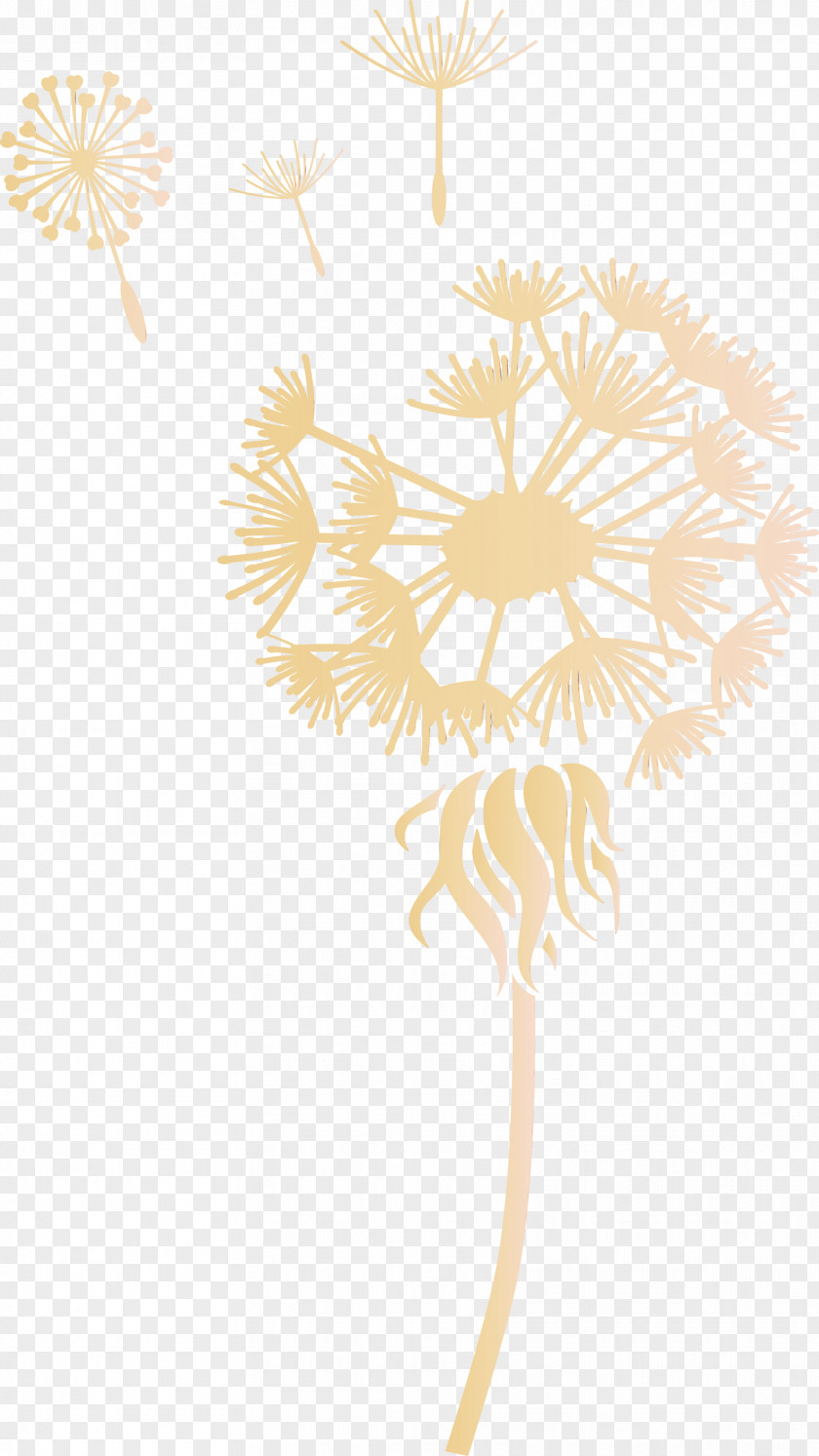 Floral Design PNG