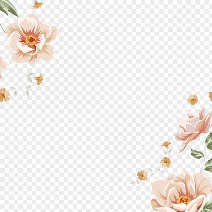 Fresh And Elegant Floral Material Flower Stock Photography Pattern PNG
