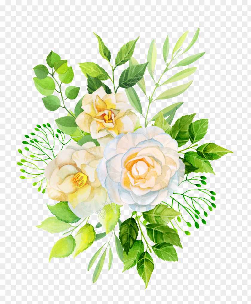Garden Roses Design Flower Illustration PNG