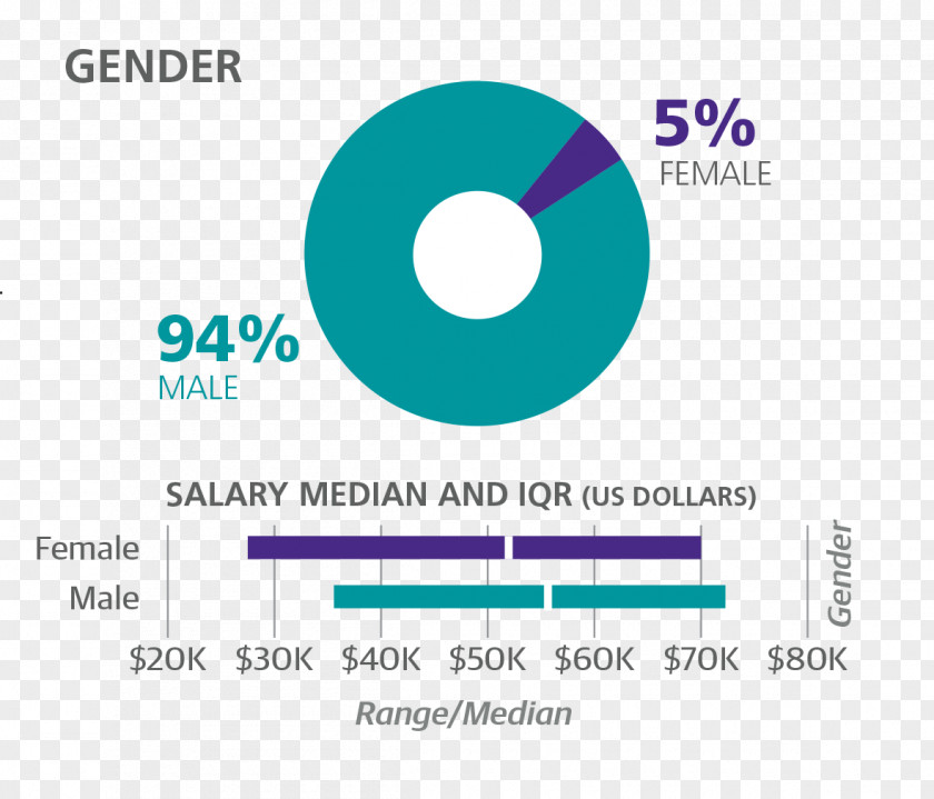 Gender And Development Salary Survey Job Wage Income PNG