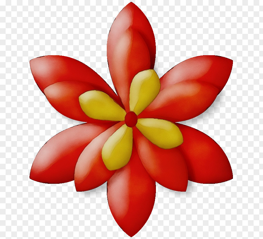 Plant Frangipani Petal Flower PNG