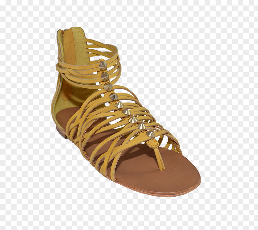 Sandal Shoe Walking PNG