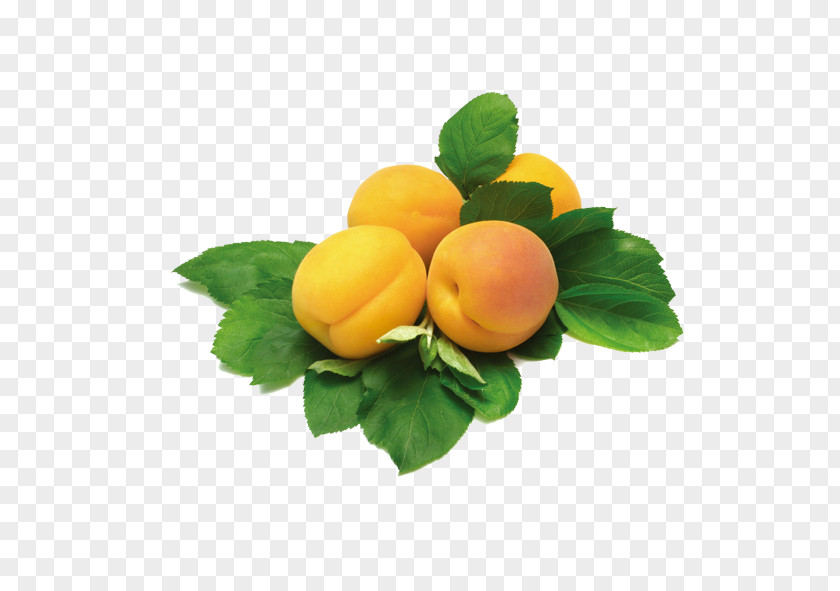 Apricot With Leaves Yerevan City Vegetarian Cuisine Supermarket PNG