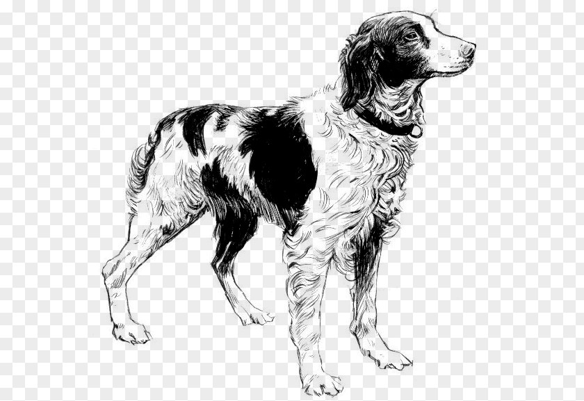 Brittany Dog French Spaniel Old English Sheepdog Clip Art PNG