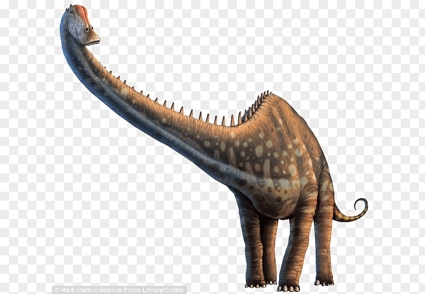 Dinosaur Diplodocus Allosaurus Photograph Poster PNG