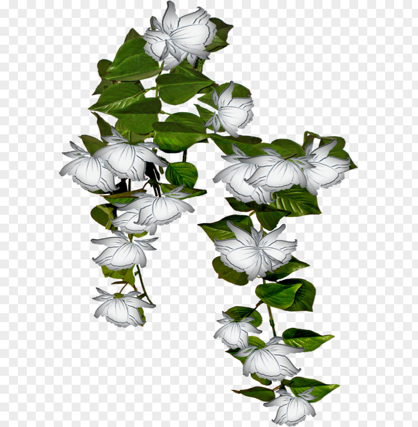 Flower Petal Nursery Ivy PNG