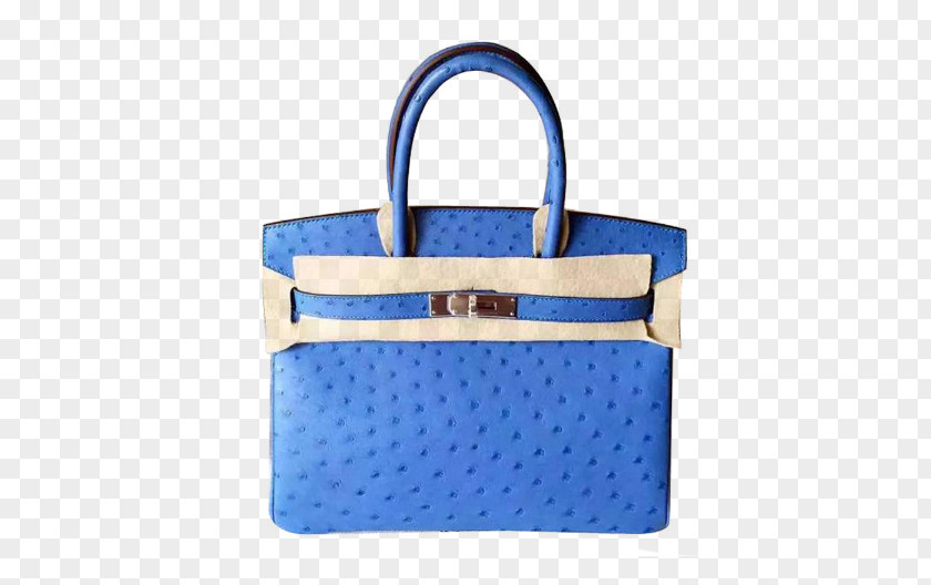 Hermes,Hermes,Birkin Bag 30 Blue Platinum Gold Buckle Ostrich Skin Handbags Bags Tote Birkin Handbag Hermxe8s PNG